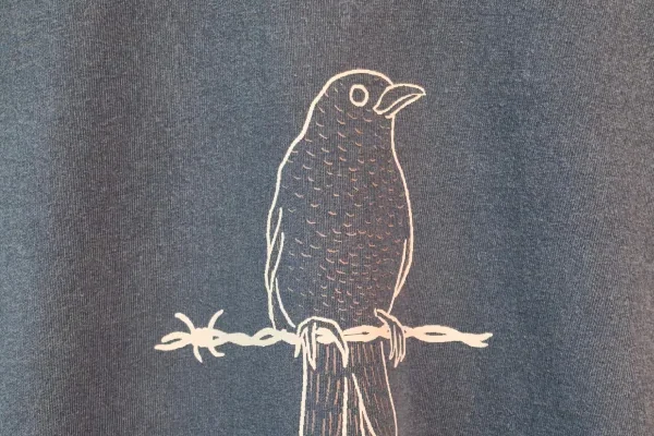 Detalle de la camiseta Mirlo